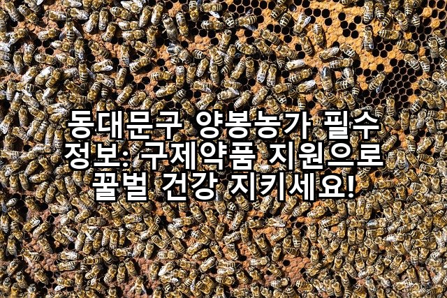 동대문구 양봉농가 필수 정보: 구제약품 지원으로 꿀벌 건강 지키세요!